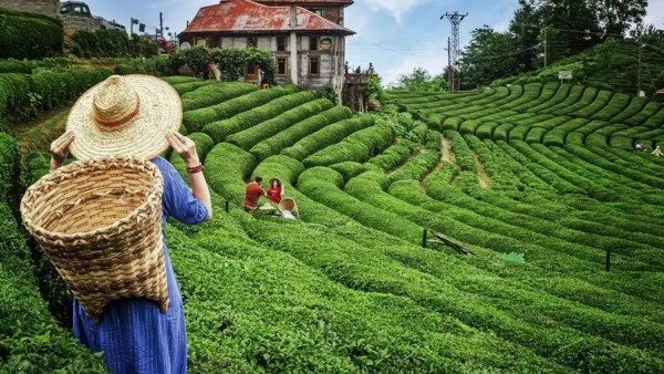 Doğu Karadeniz Turu